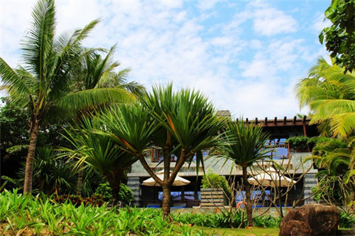 在都安瑤族自治縣加盟奶茶店排名哪家強(qiáng)，加盟優(yōu)丸茶作在都安瑤族自治縣開店能盈利嗎